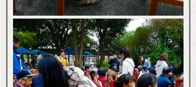 情系金秋  爱在重阳