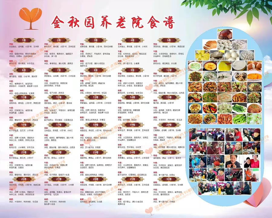 营养配餐食谱